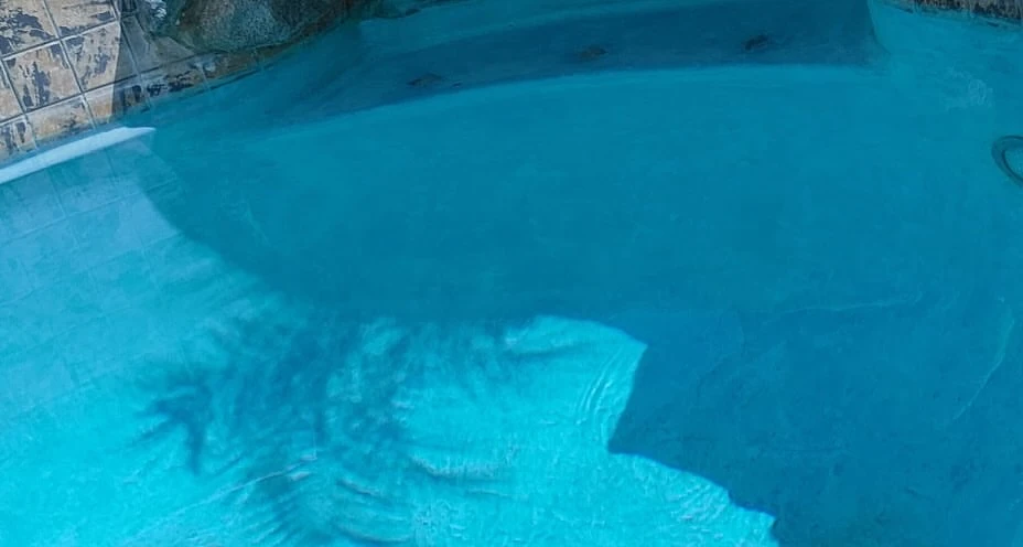 Clean pool floor and walls after vacuuming